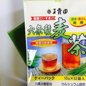 麦茶 六条麦茶 玉露園 10g × 52個入り 20袋 1ケース ティーバック ティーパック