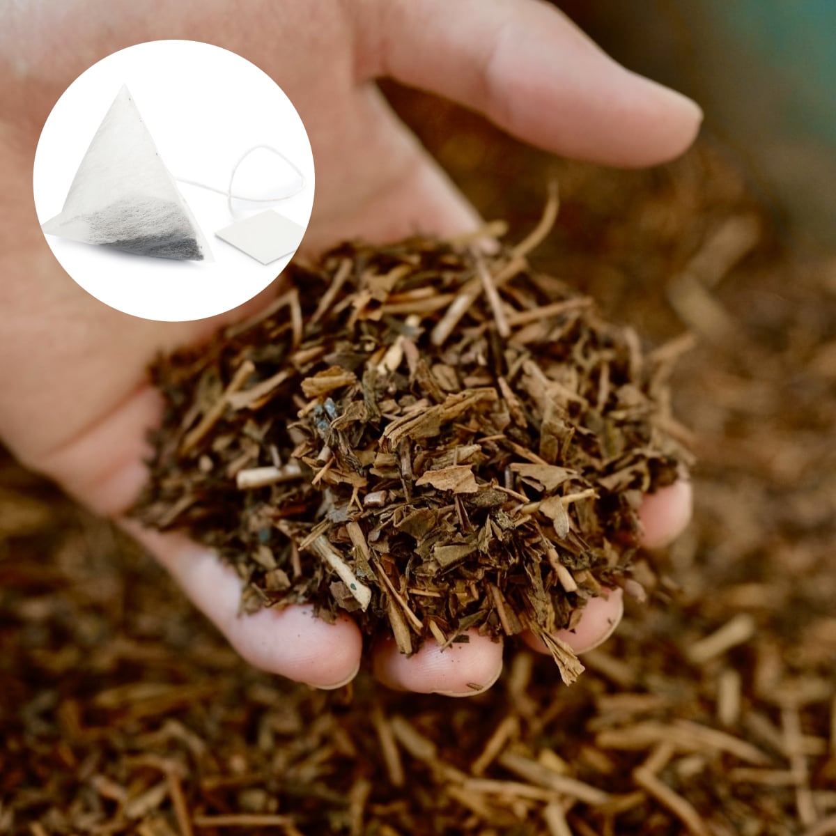 店頭自家焙煎ほうじ茶「おかよちゃん」マグカップ用 3gティーバッグ 10個入り / 三角形 ティーパック テトラ型 ナイロン 紐付き