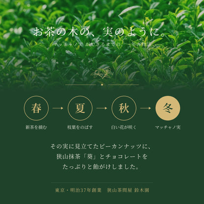 【送料無料】鈴木園の抹茶チョコレート「マッチャノ実」狭山抹茶100%使用！ピーカンナッツチョコレート
