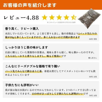 濃い ほうじ茶 ティーバッグ 水出し 業務用 大容量 安い 美味しい 【すぐ出るほうじ茶（澤印）10g × 100個入り 1kg】